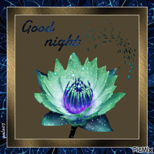 Happy night - 免费动画 GIF