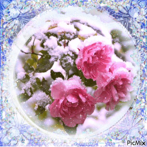 winter roses - GIF animé gratuit