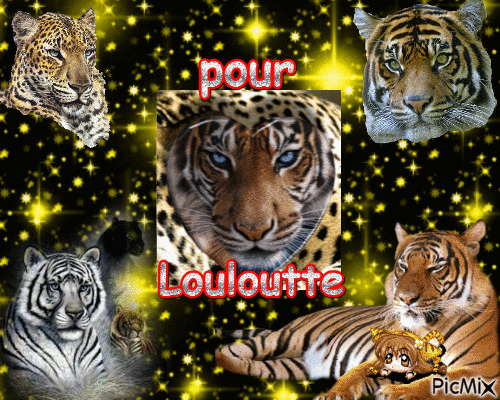 Kdo pour Louloutte51 - Bezmaksas animēts GIF