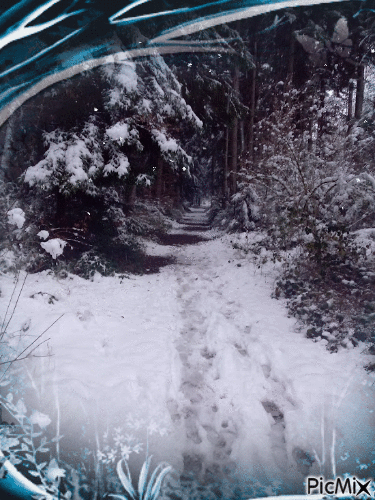 Winter-Forest   🙂❄️❄️🎄 - Gratis animerad GIF