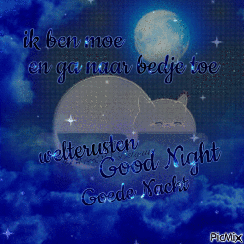 gn goodnight    goede nacht - GIF animé gratuit
