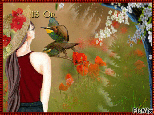 Oiseaux des iles... - Bezmaksas animēts GIF