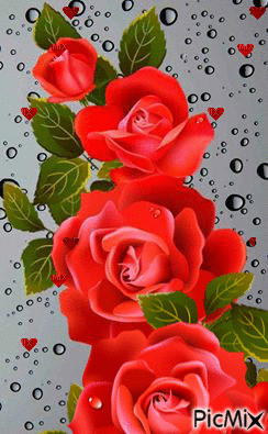 Rose hearts - Ingyenes animált GIF