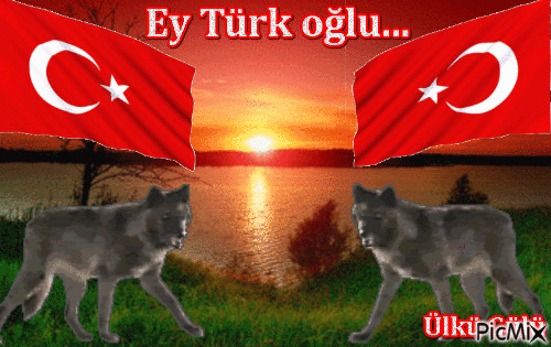 Ülkü Gülü - Bezmaksas animēts GIF