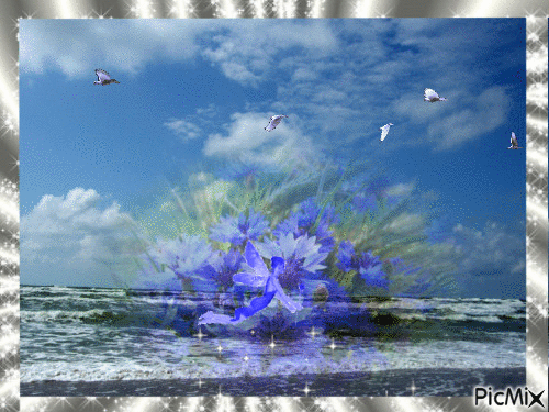 Sea and cornflower - GIF animé gratuit
