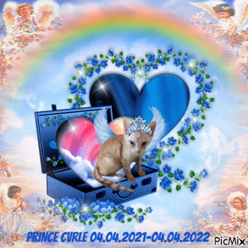 Prince Cvrle - png gratis