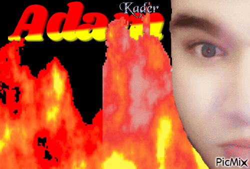 KADER - 免费动画 GIF