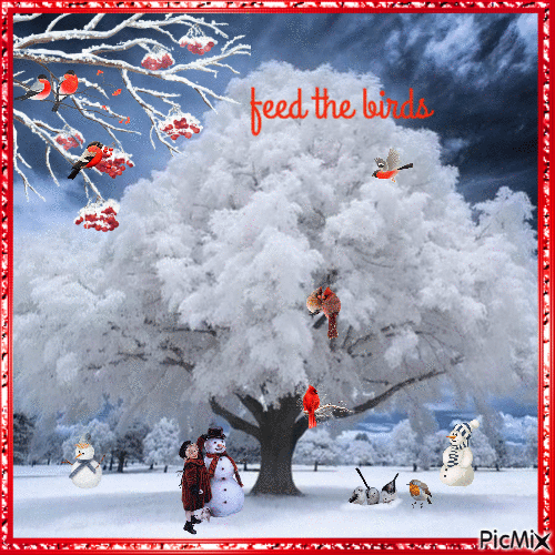feed the birds - Free animated GIF