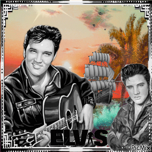 Elvis in Schwarz & Weiß und dritter Farbe - Besplatni animirani GIF