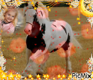 cavalo - Gratis animerad GIF