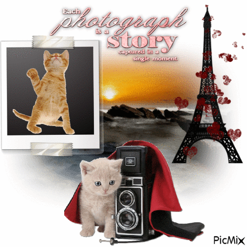 Each Photograph Is A Story - Gratis animerad GIF