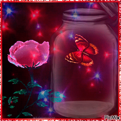 Papillons dans un bocal - Gratis animeret GIF