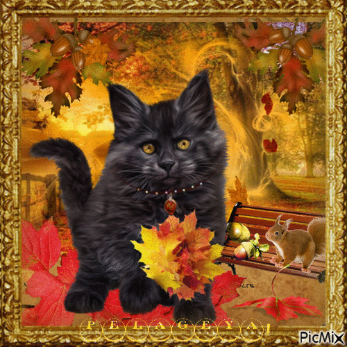Chat noir 🐾 🐈 🐾et automne - GIF animé gratuit