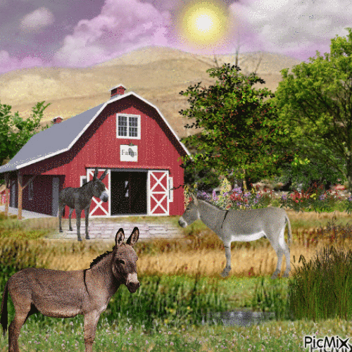 Donkey Farm - Nemokamas animacinis gif