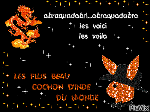 cochon d'inde - Бесплатный анимированный гифка