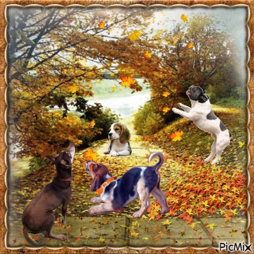 Herbsthunde spielen in Blättern - Free animated GIF