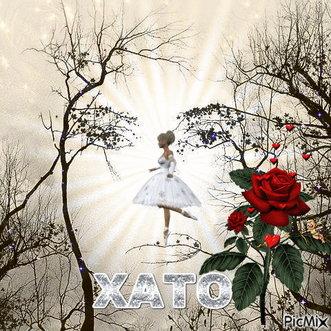 XATO - Zdarma animovaný GIF