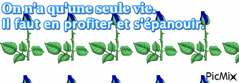 Fleur bleu - Бесплатный анимированный гифка