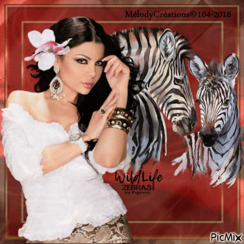 Zèbres et femme... Zebras and woman... Ellen... - Free animated GIF