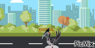 Fenetic Road runner - Zdarma animovaný GIF