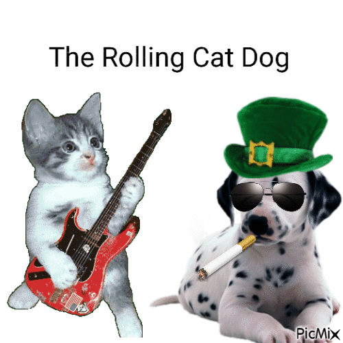 The Rolling Cat Dog - GIF animasi gratis