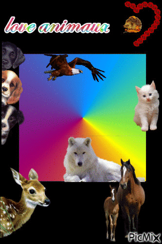la couleure et les animaux - Gratis geanimeerde GIF