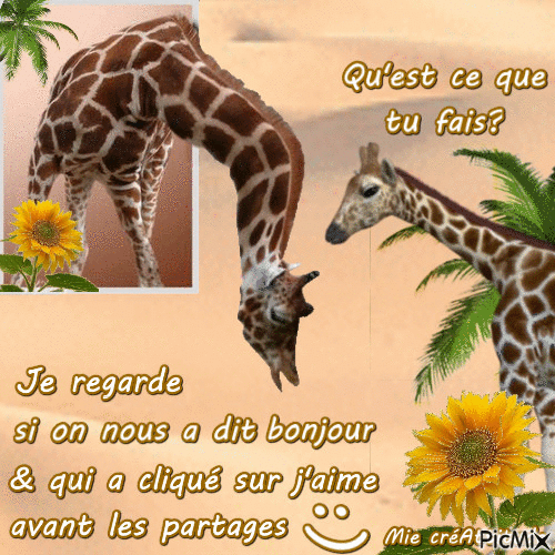 Papotage entre girafes :) - Бесплатный анимированный гифка