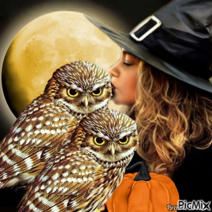 halloween owl - 免费PNG