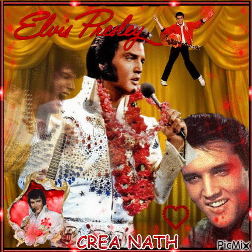 THE KING ELVIS   CONCOURS - Free animated GIF