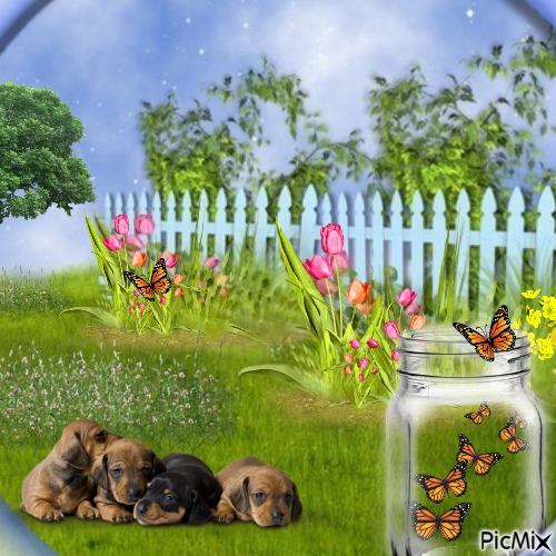 Butterflies In A Jar - zadarmo png