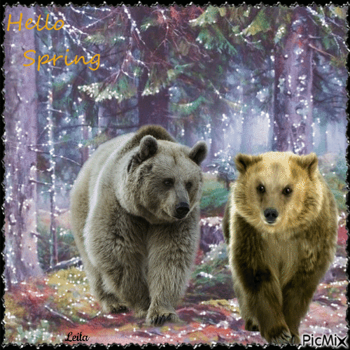 Hello Spring. Bears in the forest - Gratis animerad GIF