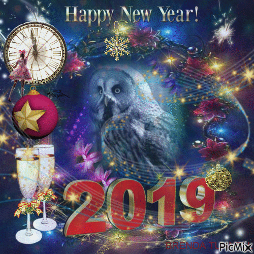 NEW YEARS OWL 2019  2 - Darmowy animowany GIF