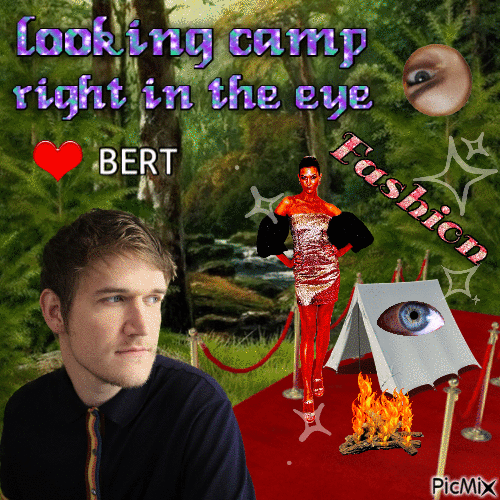 looking camp right in the eye Bert - Бесплатный анимированный гифка