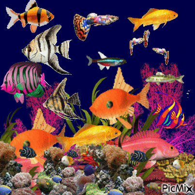 aquarium - GIF animasi gratis