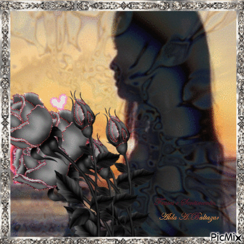 Mulher e ramo de rosas - Gratis animerad GIF