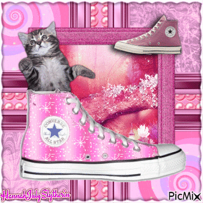♥☼♥Kitten in a Converse♥☼♥ - Free animated GIF