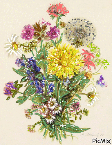 kvety - Gratis geanimeerde GIF