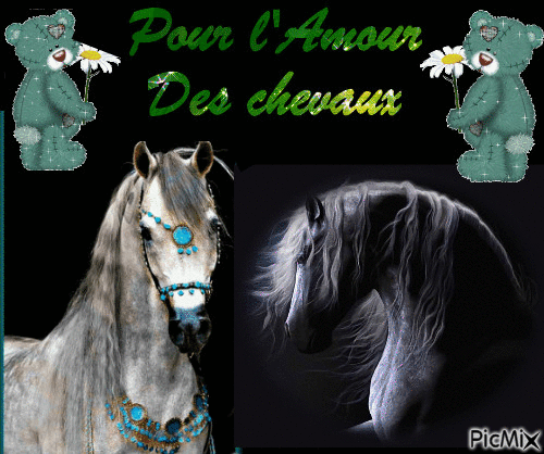 Pour l'amour des chevaux - GIF animado grátis