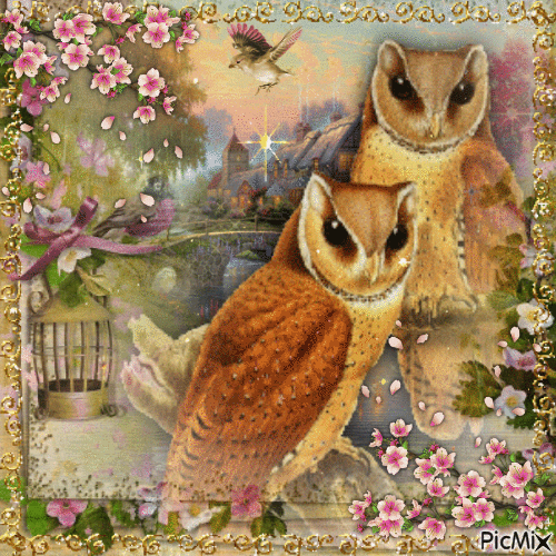 pink & gold owls - GIF animé gratuit