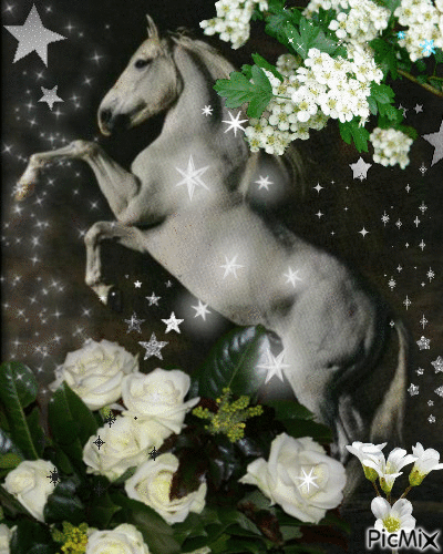 Le cheval blanc dans les étoiles - Darmowy animowany GIF
