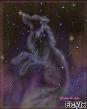 Wolf in the Stars - Безплатен анимиран GIF
