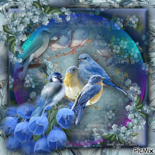 "Pássaros azuis em uma bolha" - 免费PNG