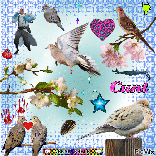 mourning doves - GIF animé gratuit