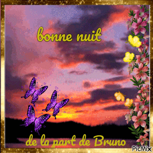 Bonne Nuit de la part de Bruno - GIF animasi gratis