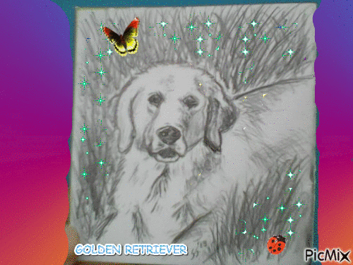 Un chien, le golden retriever dessiné par Gino Gibilaro avec papillon et cocinelle - Besplatni animirani GIF