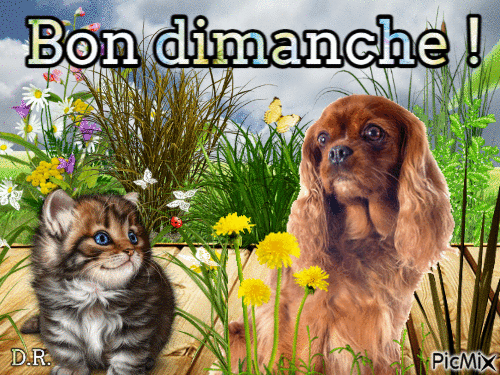 Chien et Chat - Bezmaksas animēts GIF