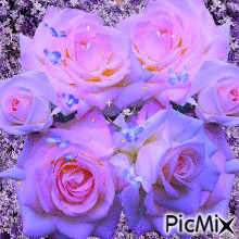 a background of lilacs 6 pink and purple roses little blue butterflies floating. - Бесплатный анимированный гифка