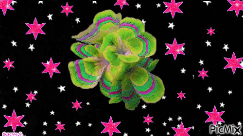 Flower in the Sky - Gratis geanimeerde GIF