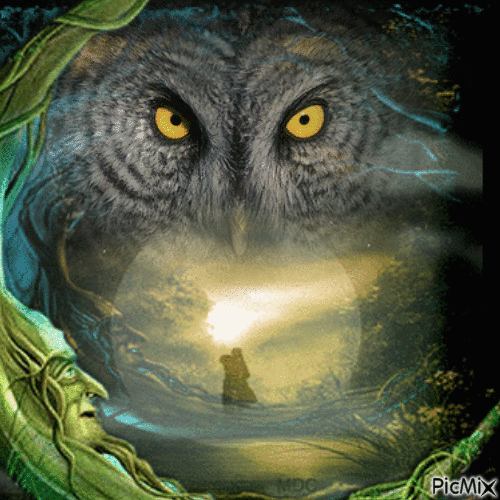 Fantasy owl - Бесплатный анимированный гифка
