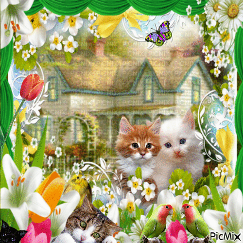 Le printemps des chats jolis - GIF animé gratuit